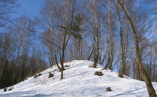 16_Samylu piliakalnis_R_Mikitiejevos nuotr.jpg